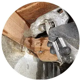 シロアリを徹底駆除!