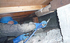 シロアリ駆除イメージ