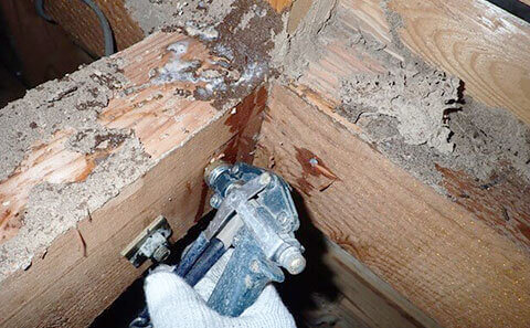 シロアリ駆除イメージ